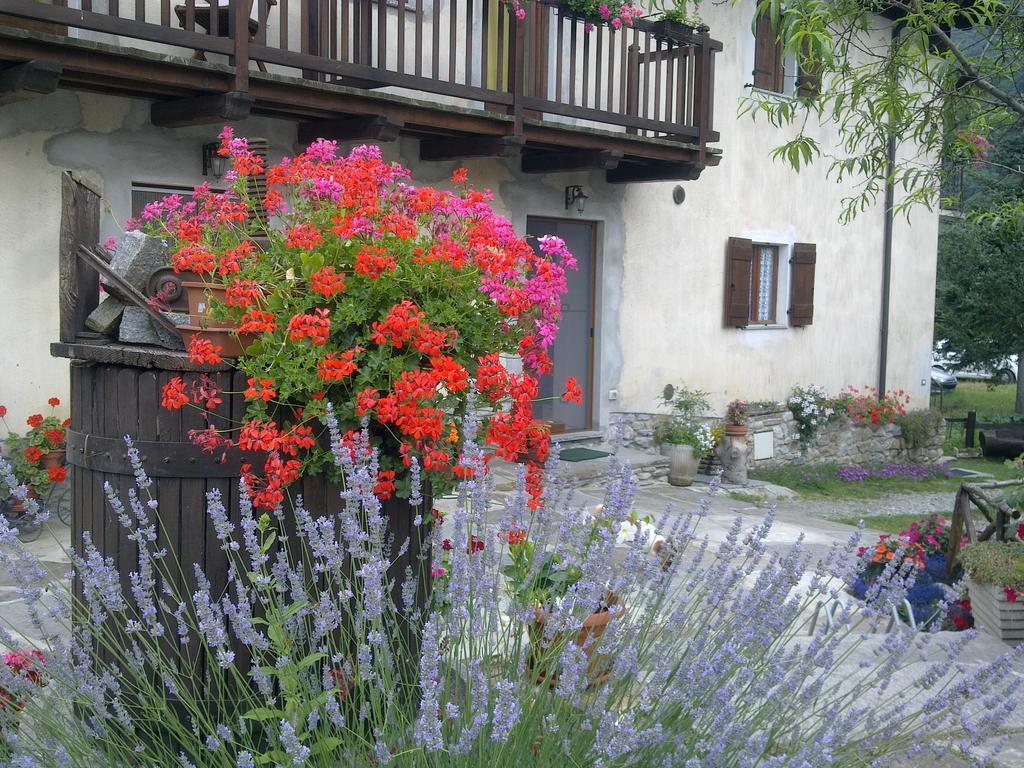 Penzion La Peiro Douco Roure Turin Exteriér fotografie